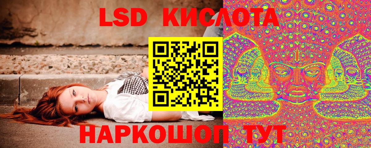 Альфа ПВП Махачкала