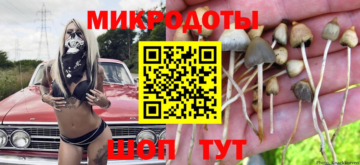 Псилоцибиновые грибы ЛСД  Галлюциногенные грибы прущие грибы  Махачкала  Вход с VPN 