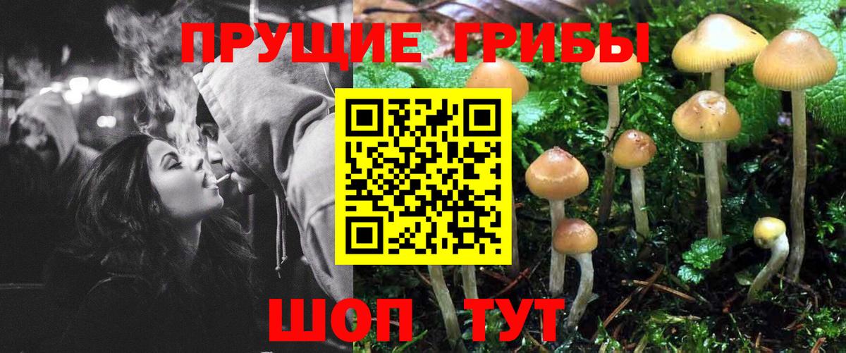 Галлюциногенные грибы MAGIC MUSHROOMS Махачкала